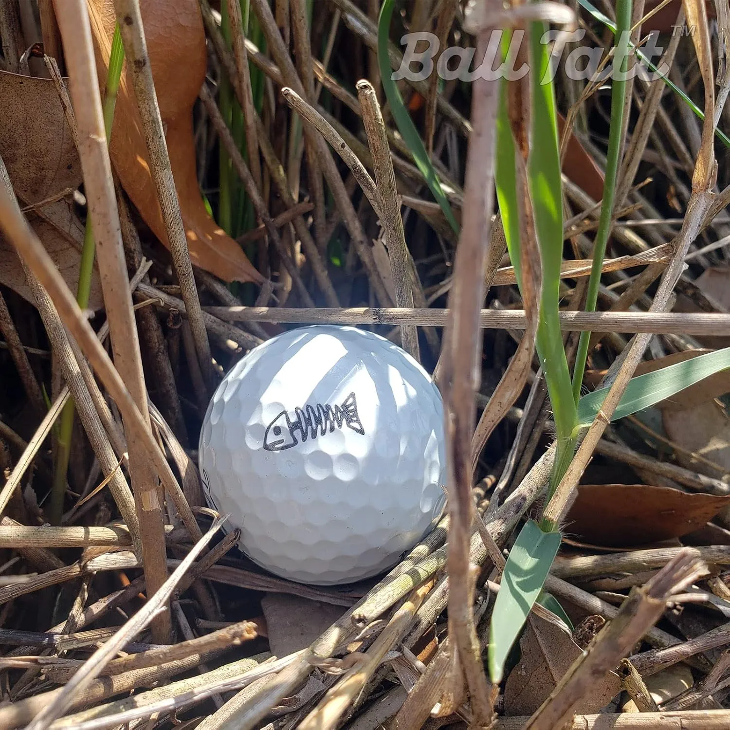 Golf Ball Stamp - Self-Inking Marker - Quick-Dry Permanent Marking Tool, No Leaks or Refills, Reusable & Waterproof Golfing Stamper - Ideal Gift for Golfers, Dads, (Animals and Plants)