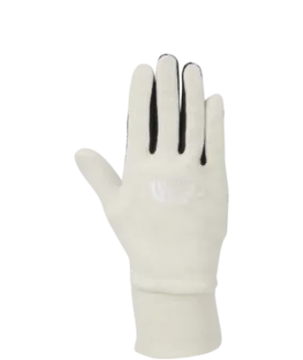 North Face TKA 100 Glacier Gloves